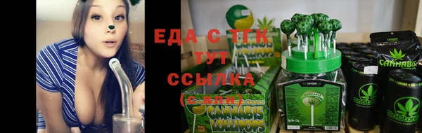 дживик Бородино