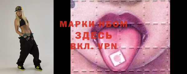 дживик Бородино