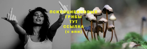 ECSTASY Бронницы