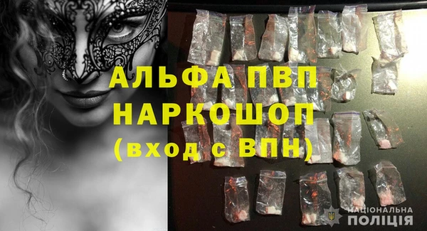 дживик Бородино