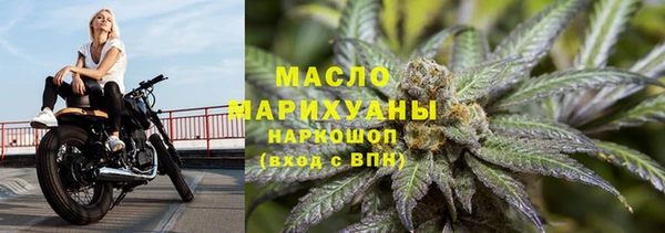 дживик Бородино