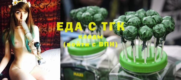 дживик Бородино