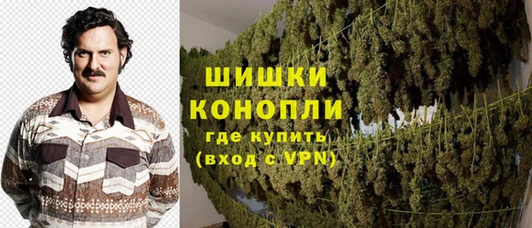 ECSTASY Бронницы